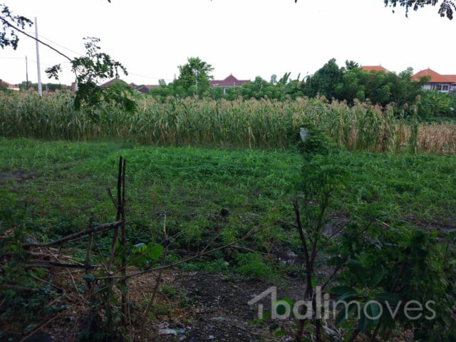 land sale renon l261 2 2