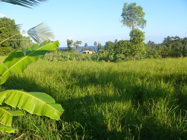 LAND PICS3