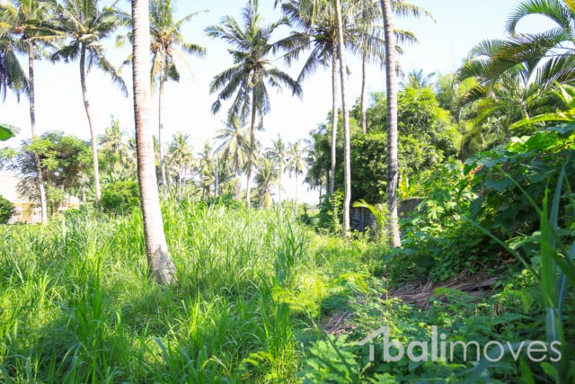 land for lease sanur L366 3