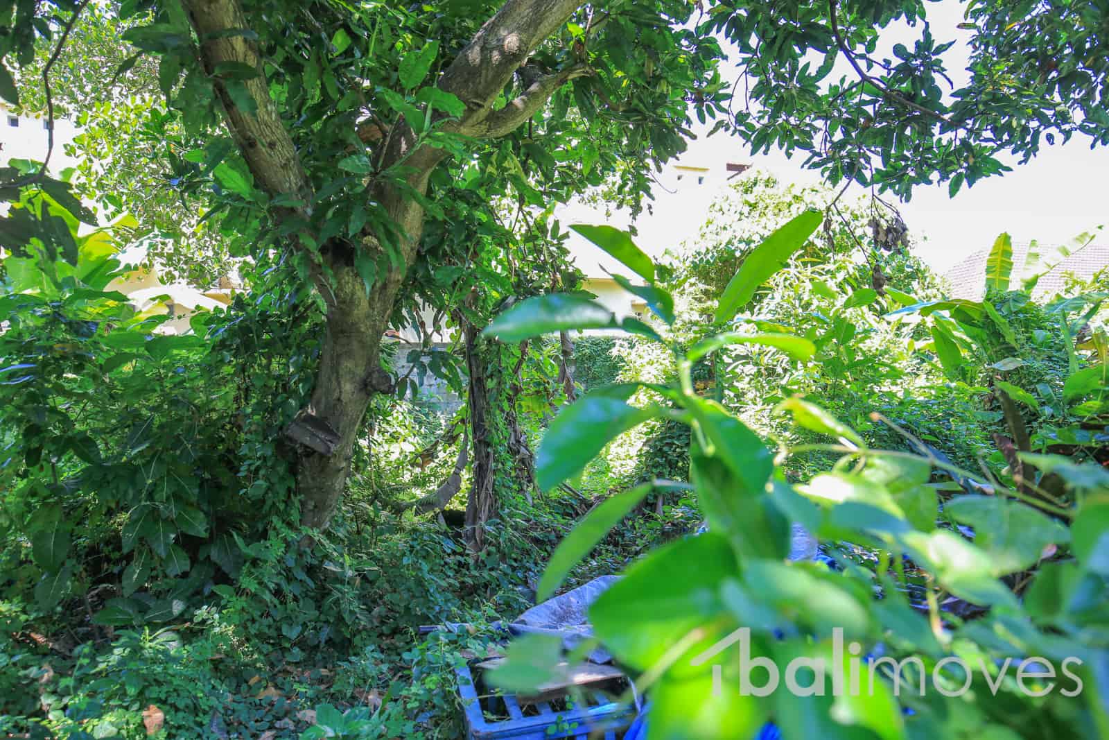 1000 M2 Land In A Quite Area For Lease Balimoves Property