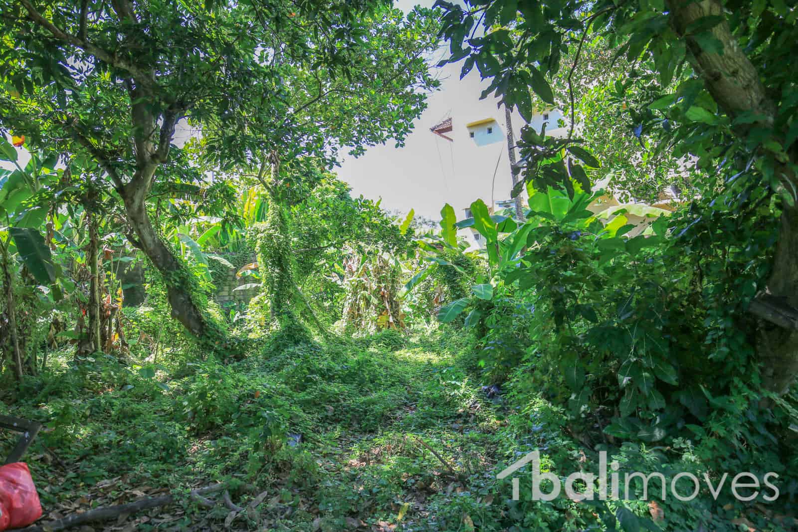 1000 M2 Land In A Quite Area For Lease Balimoves Property