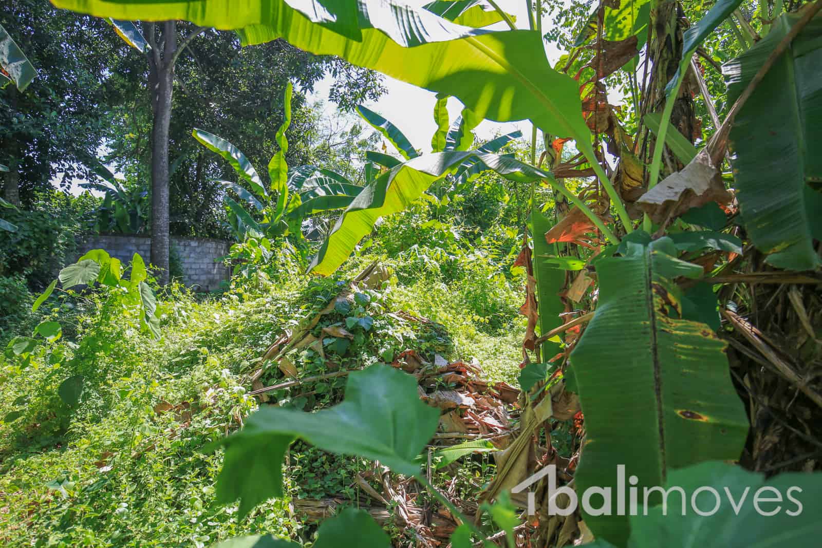 1000 M2 Land In A Quite Area For Lease Balimoves Property