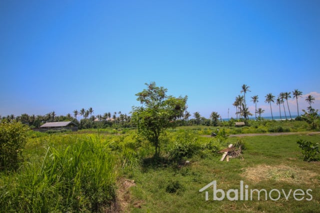 Land For Sale L270 8