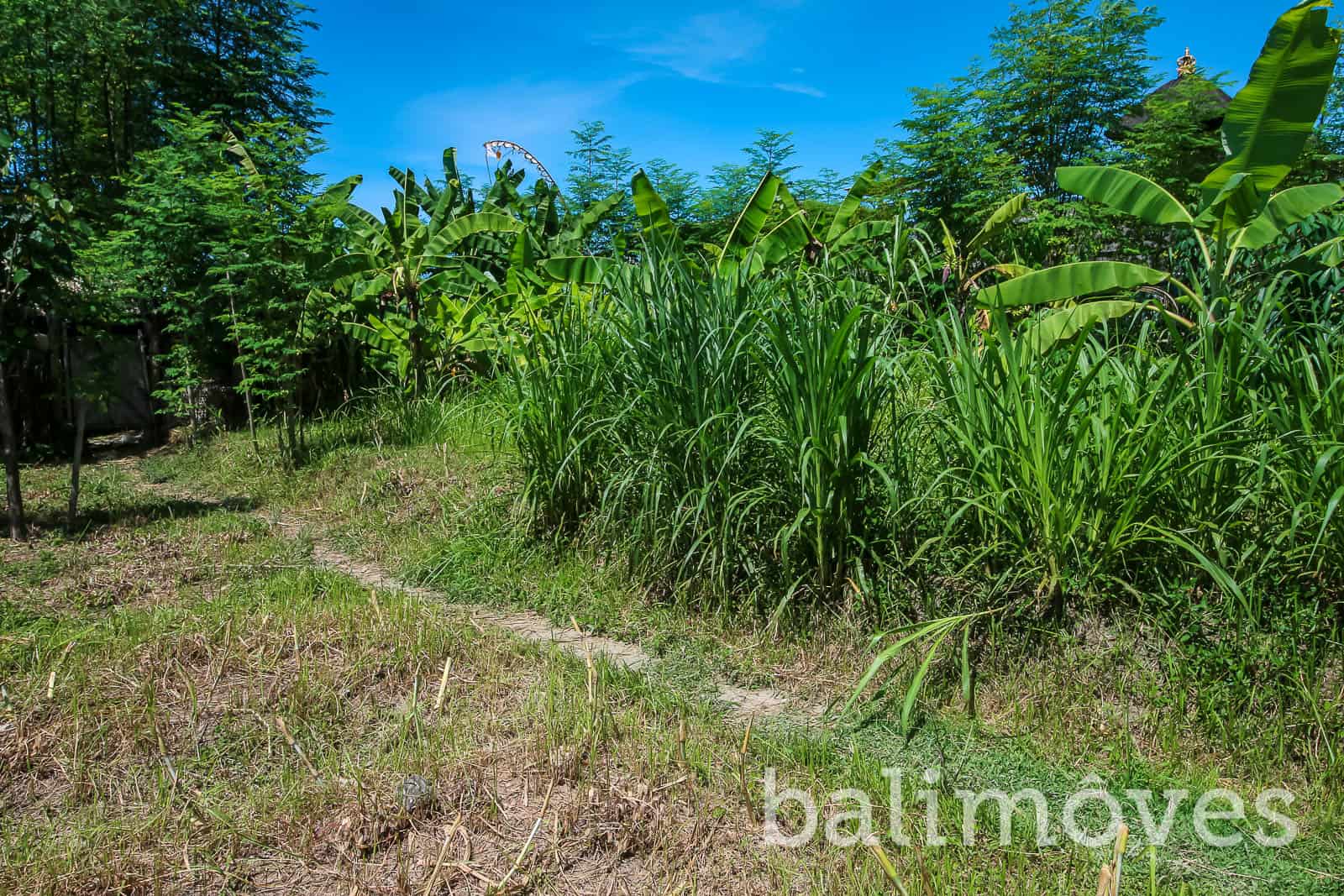 400m2 Freehold Land for Sale in Pering » Balimoves Property