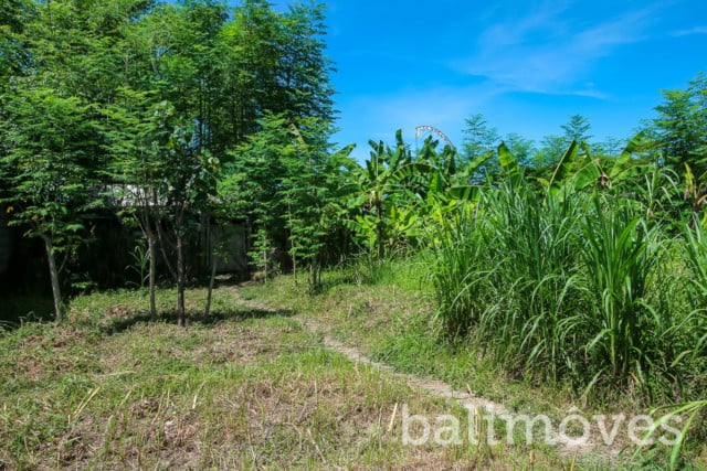 Land For Sale L457 4