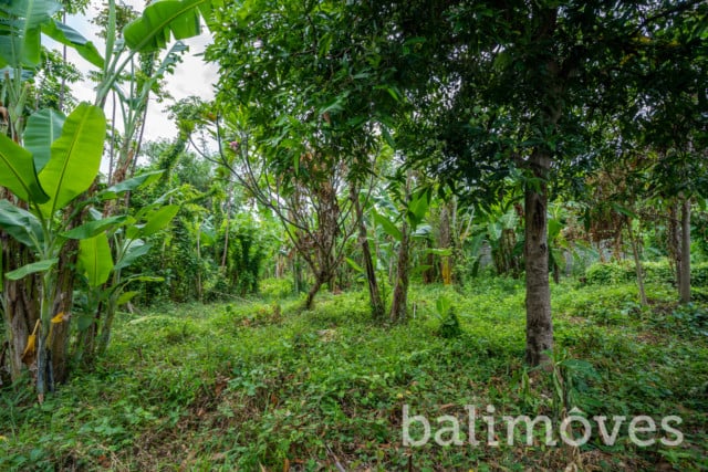 Land Sale Sanur L480 1