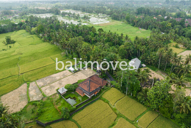 Five Bedroom Villa Sale Ubud BU0004 45