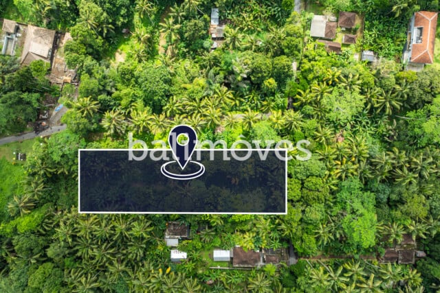 Land Sale Ubud LU001 4